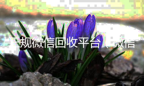 正规微信回收平回收微信秒结台（微信回收平台联系方式）